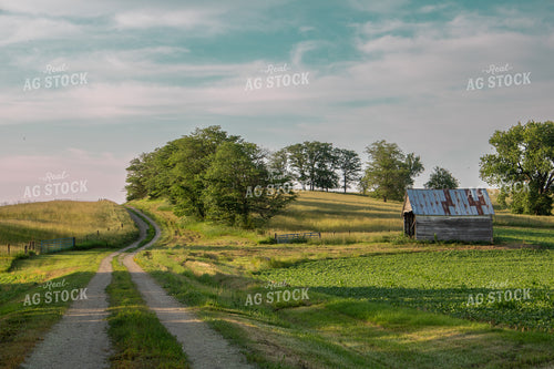 Summer Scenic Landscape 214238