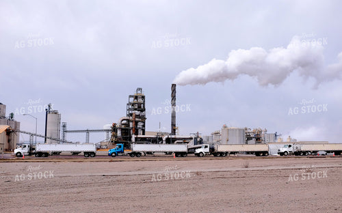 Semis Lined Up at Ethanol Plant 154014