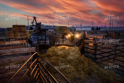 Montana Stockyards 51034