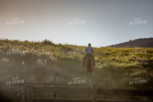 Rancher in Pasture 81107