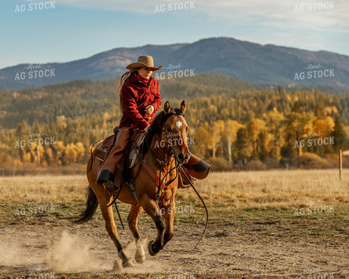 Cowgirl on Horseback 188153