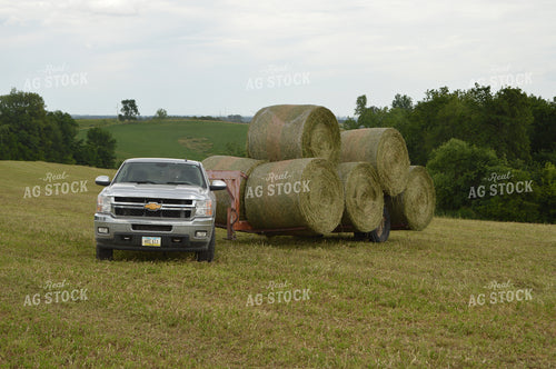 Loaded Hay Bales 206041