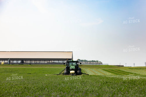 Cutting Hay 152000