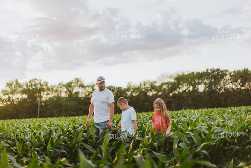 Farmer and Kids Checking Corn 8784