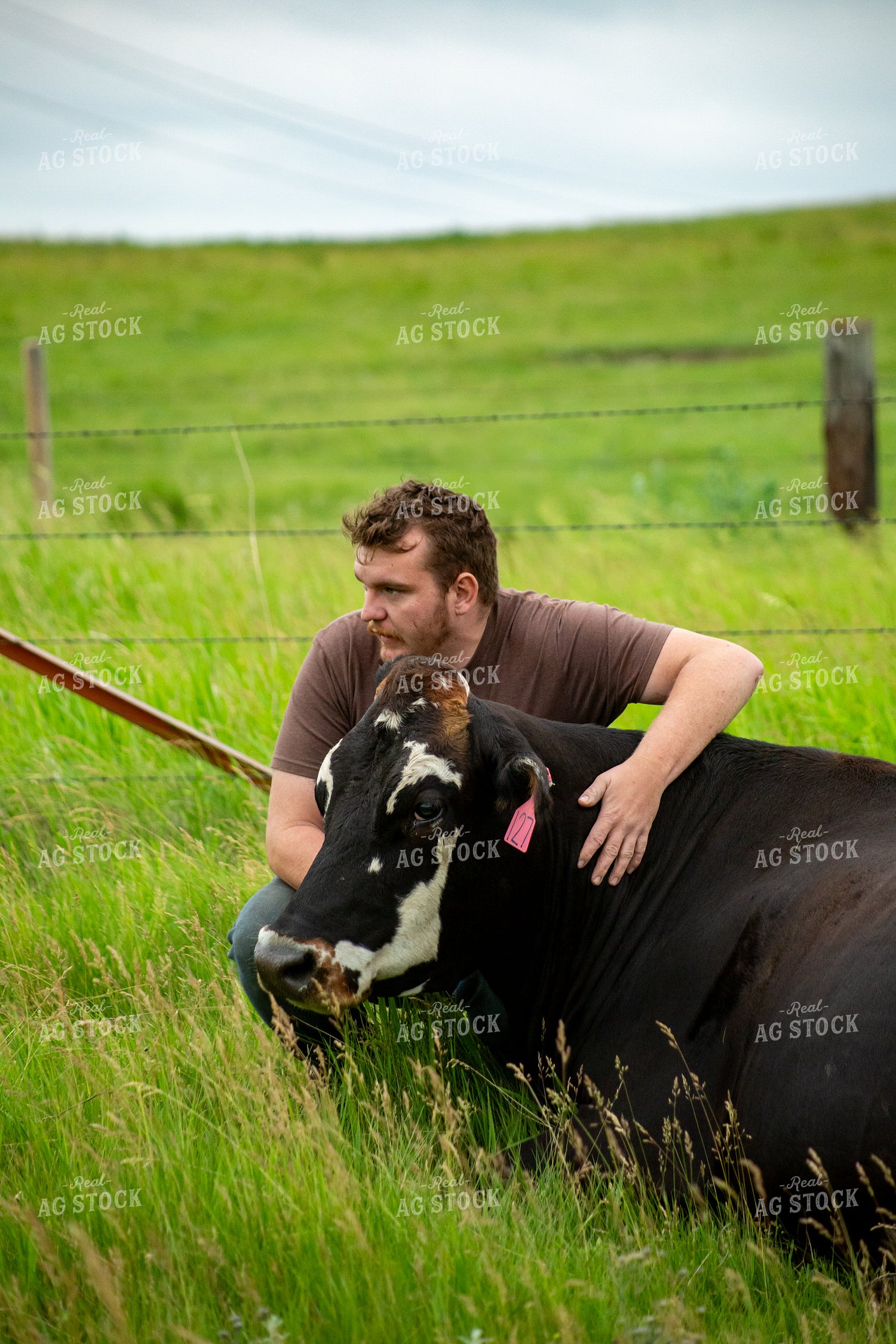 Farmer with Cow 155645