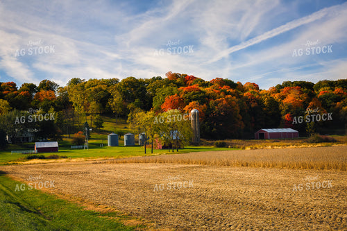 Fall Tree Landscape 153011