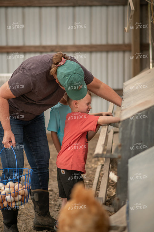 Gathering Eggs 76612