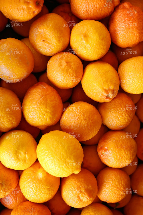 Pile of Lemons 127001