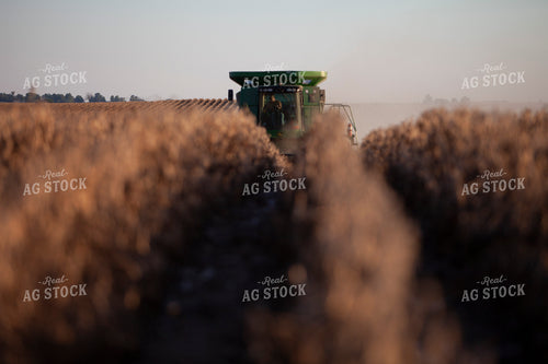 Harvest 1808