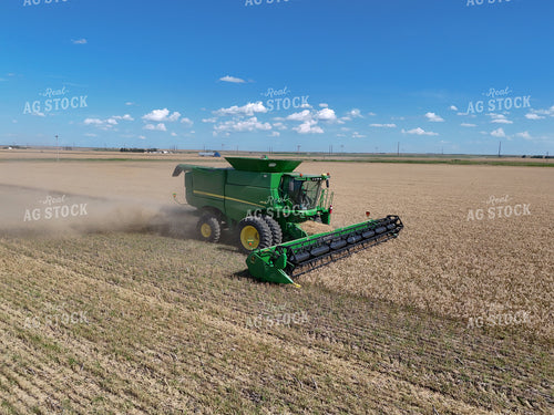 Wheat Harvest 239280