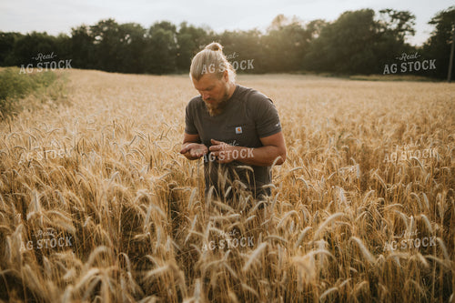 Farmer in Rye Field 5969