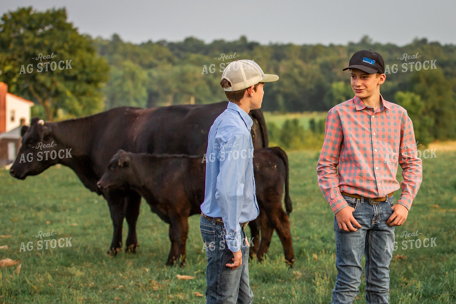 Farm Kids with Show Cattle 270214
