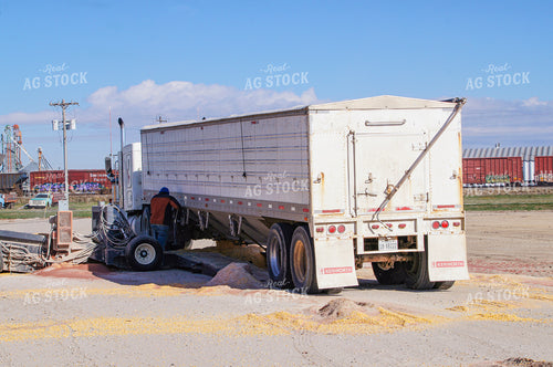Dumping Grain at Elevator 156016