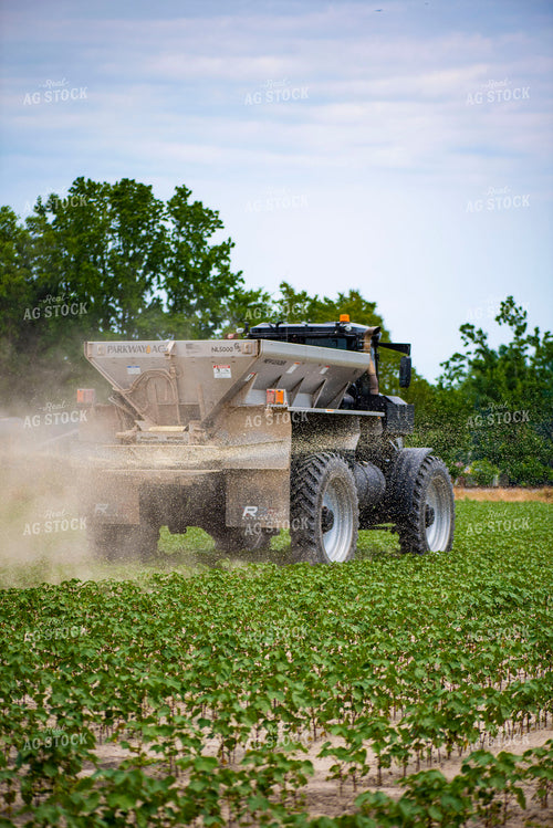 Spreading Dry Fertilizer in Cotton Field 136226