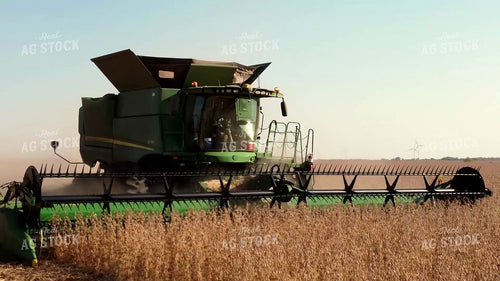 Soybean Harvest 287026
