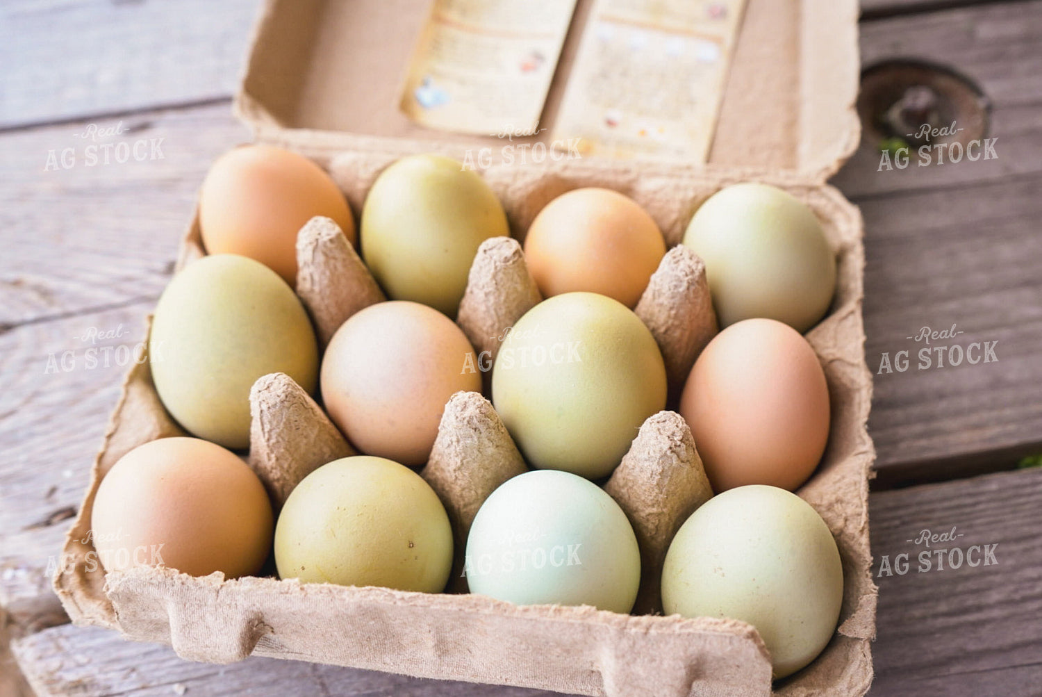 Farm Fresh Eggs 128130