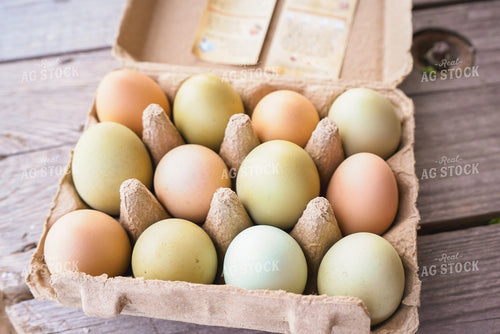Farm Fresh Eggs 128130