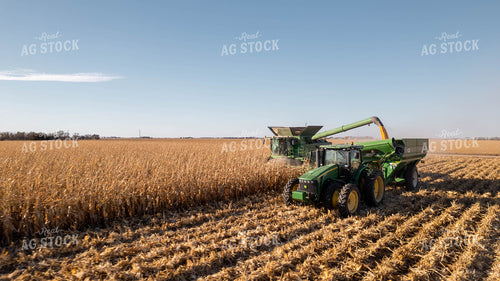 Corn Harvest 114018
