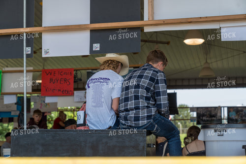 Youth at County Fair 295085