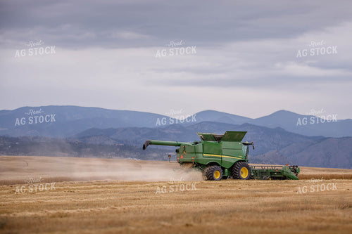 Wheat Harvest 81179