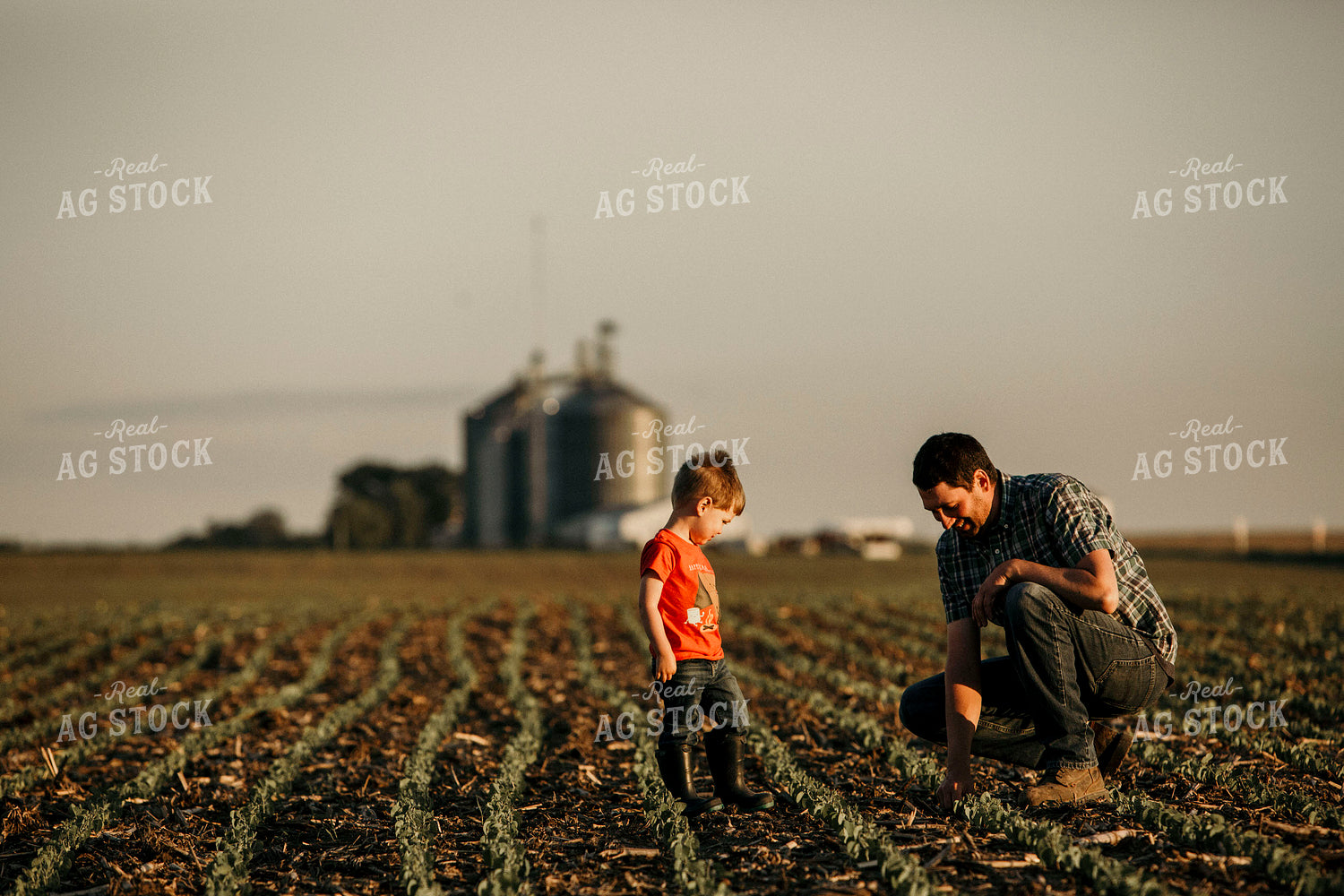 Farmer 2924