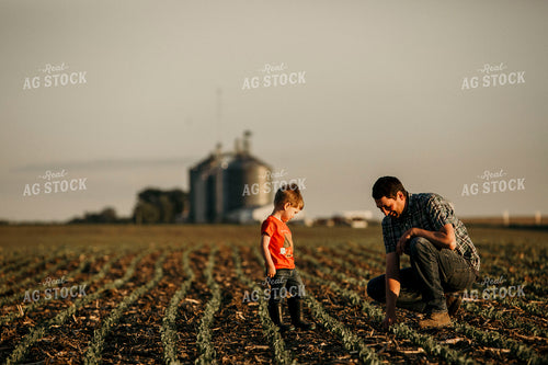 Farmer 2924