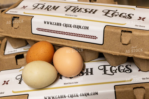 Eggs 295036