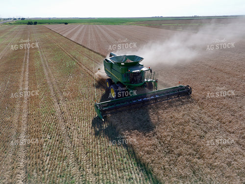 Wheat Harvest 239283