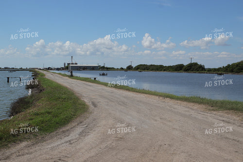 Shrimp Ponds 102175