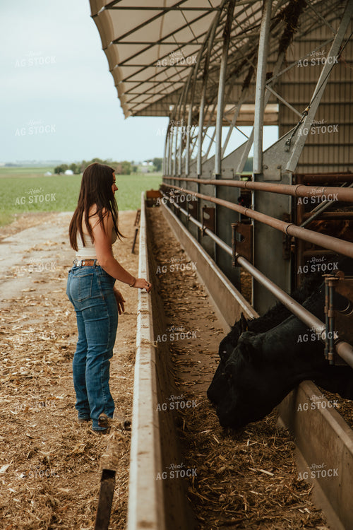 Female Farmer Checking Cattle 67768
