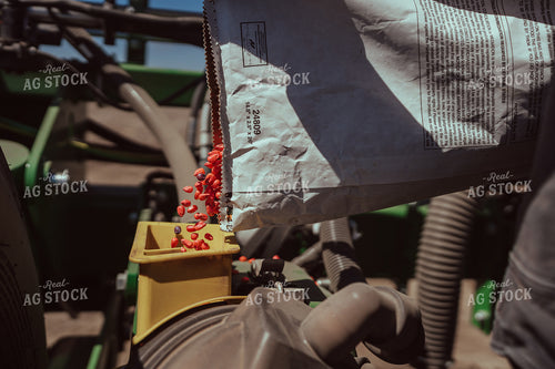 Farmer Filling Planter for Test Plot 196109