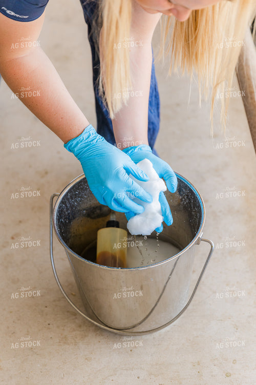 Equine Care 184043