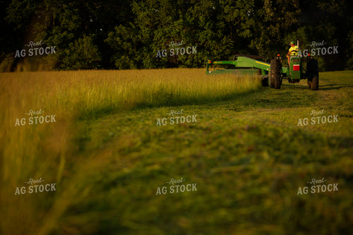 Cutting Hay 4958