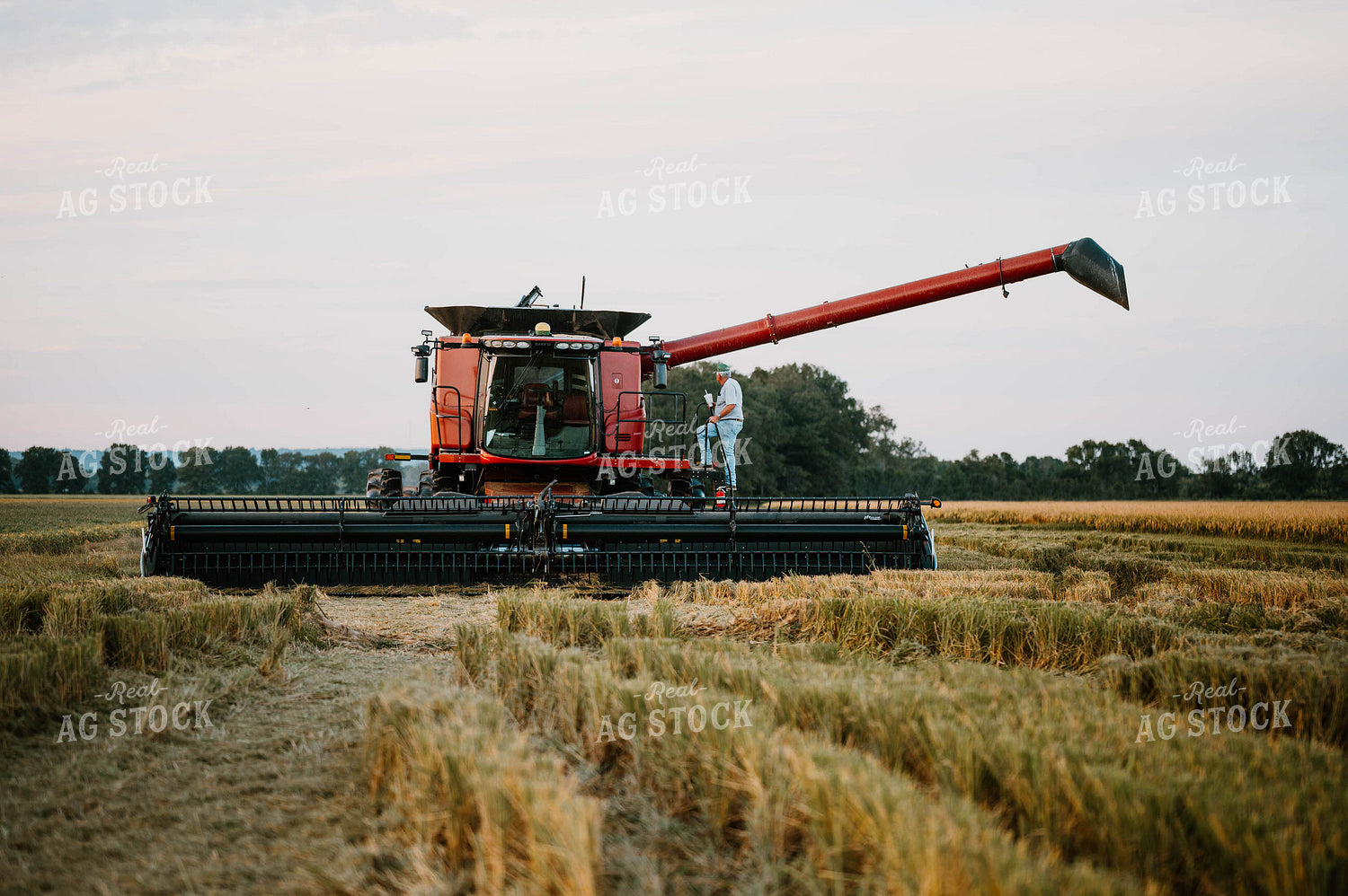 Farmer Climbing into Combine 125197