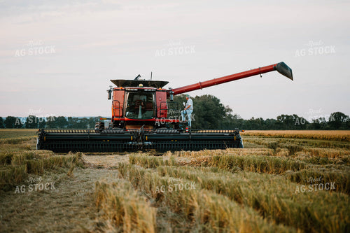 Farmer Climbing into Combine 125197