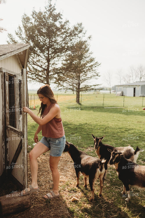 Farmer with Goats 5579