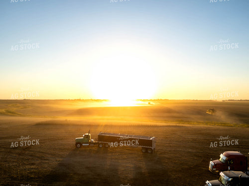 Aerial of Soybean Harvest 115612