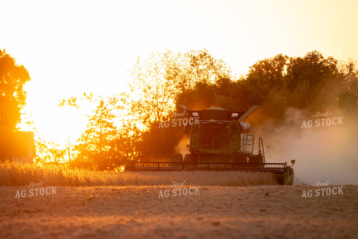 Soybean Harvest at Sunset 157225