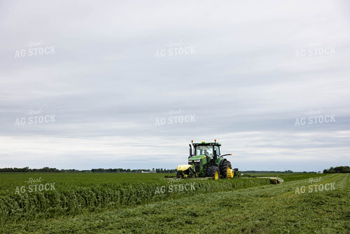 Mowing Hay 152463