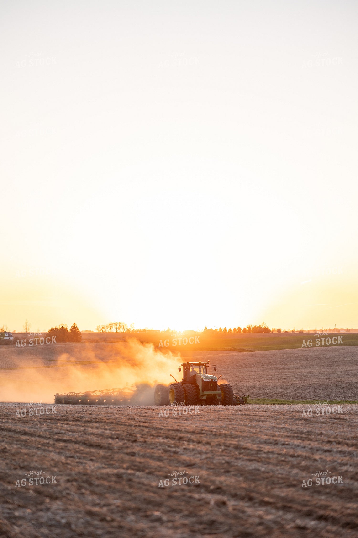 Planting 215058