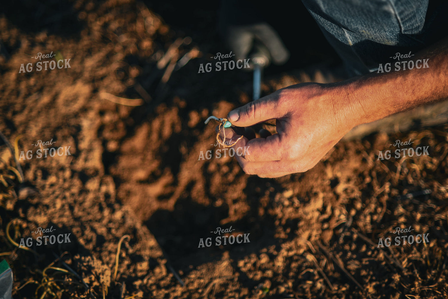 Scouting 191046