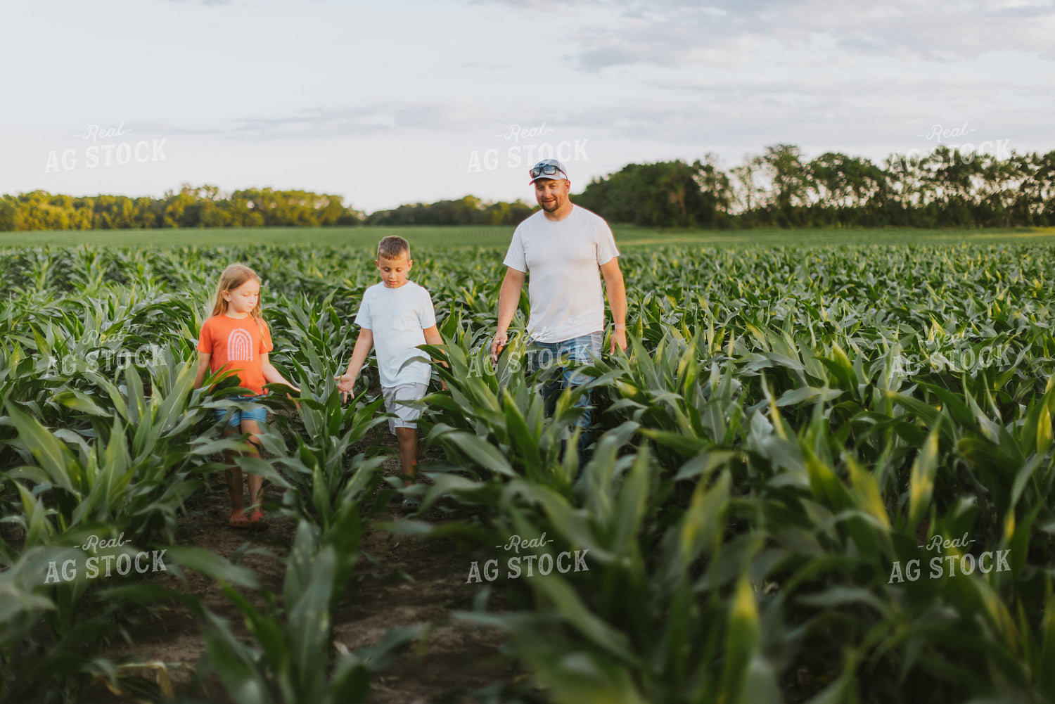 Farmer and Kids Checking Corn 8788