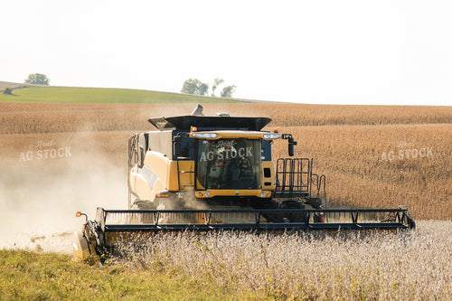 Soybean Harvest 215096