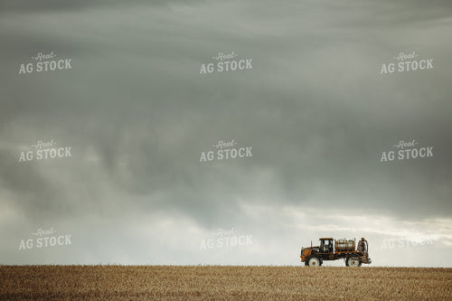 Self Propelled Sprayer Spraying in Corn Field 3659