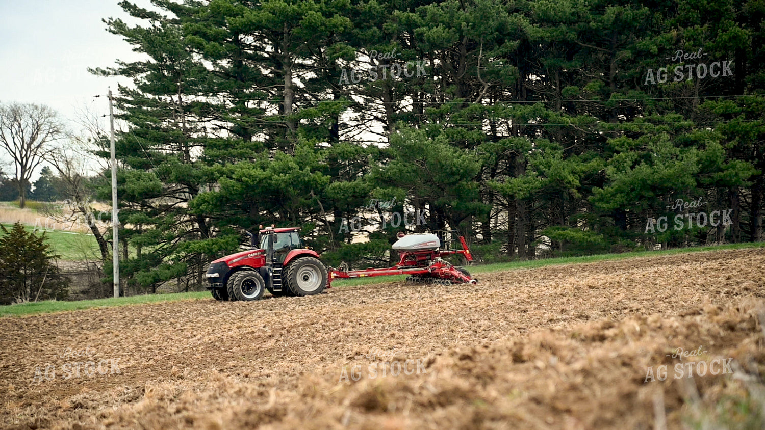 Planting into Tilled Cover Crops 25161