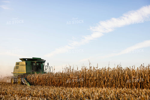 Corn Harvest 152360