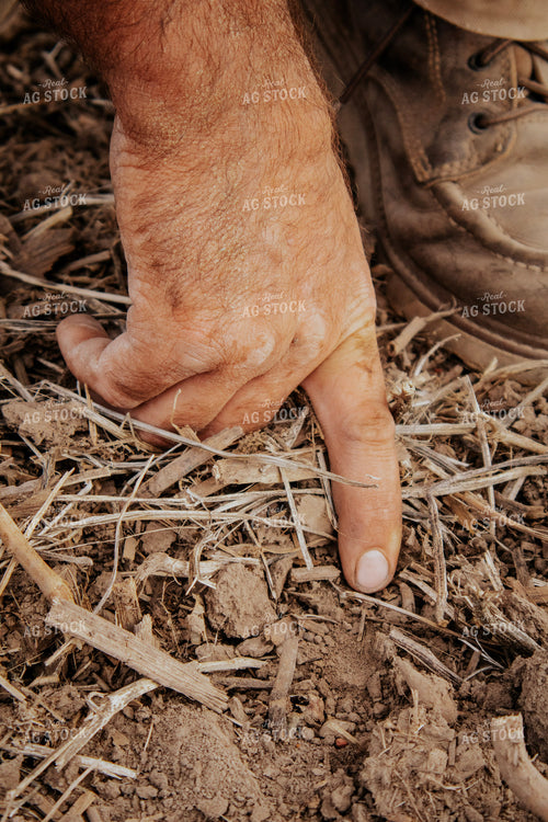 Farmer Checking Seed Depth 289027