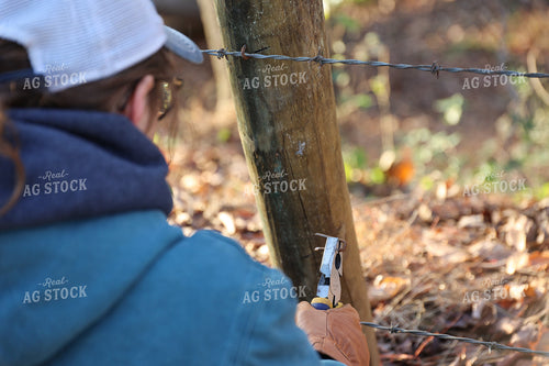 Putting Up Barbed Wire Fence 52278
