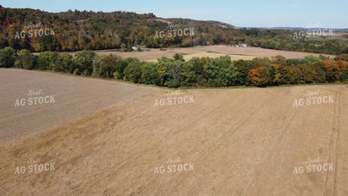 Soybean Harvest 52676