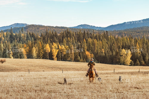 Cowboy on Horseback 188154